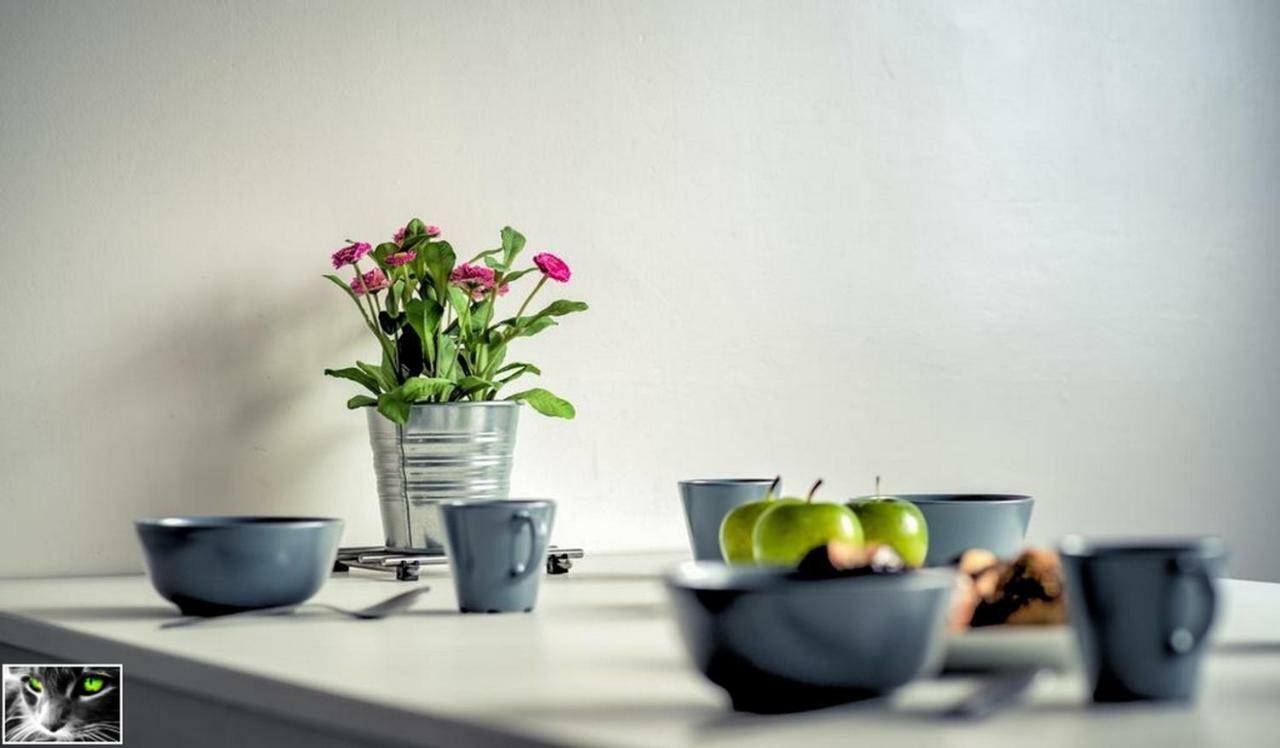 Appartement Spacieux 쉴티그하임 외부 사진